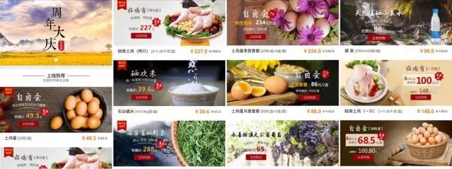 口袋德州官网-口袋德州APP下载