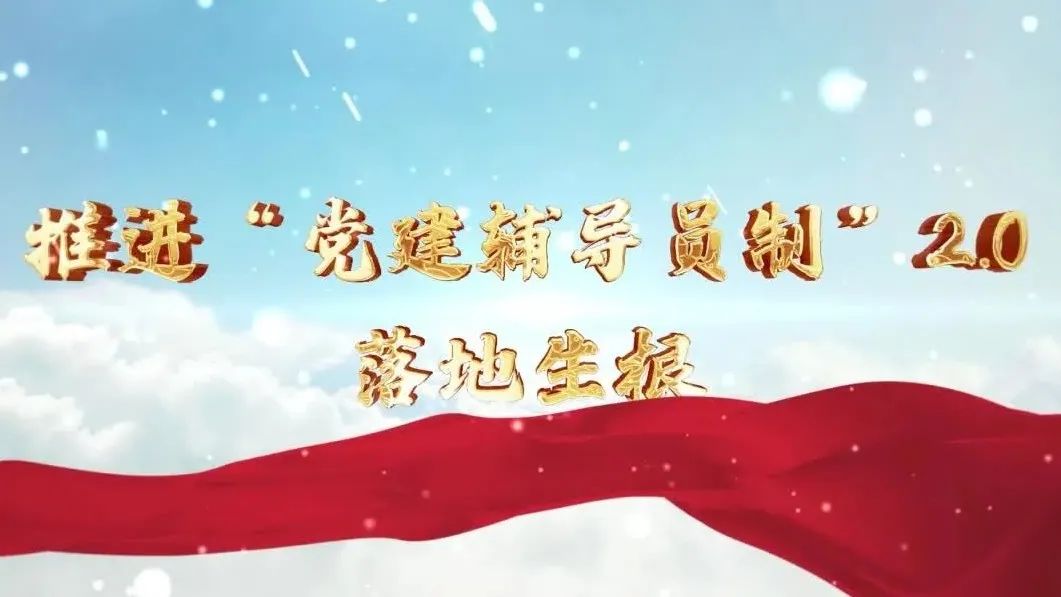  党建经营融合十佳案例④ | 西南水泥——“领导员造”+“进建型组织”，让党建成为看得见的“出产力” 