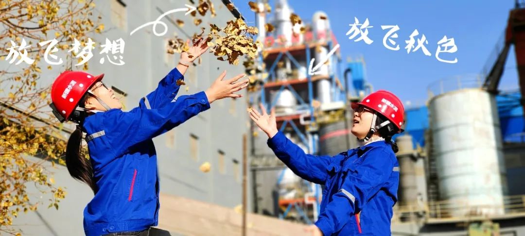 2024111816135005145 2024111816135005145