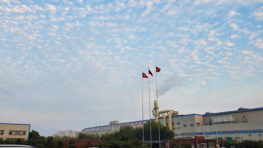 20241118161351379632 20241118161351379632